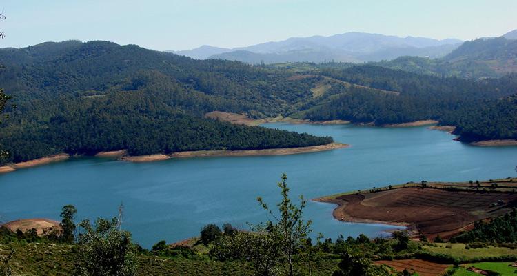 Ooty